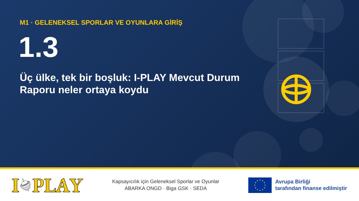 1.3 Üç ülke, tek bir boşluk: I-PLAY Mevcut Durum Raporu neler ortaya koydu